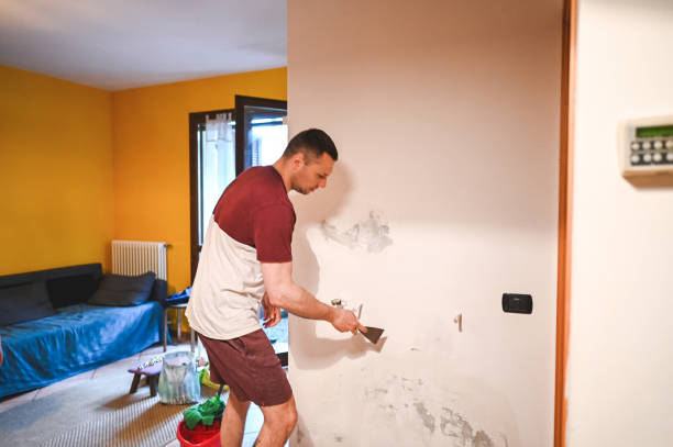 Best Affordable Mold Removal  in Crozet, VA
